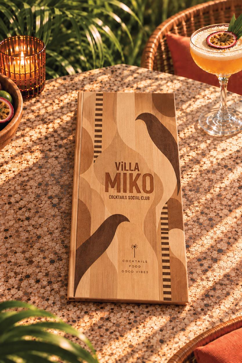VILLA MIKO