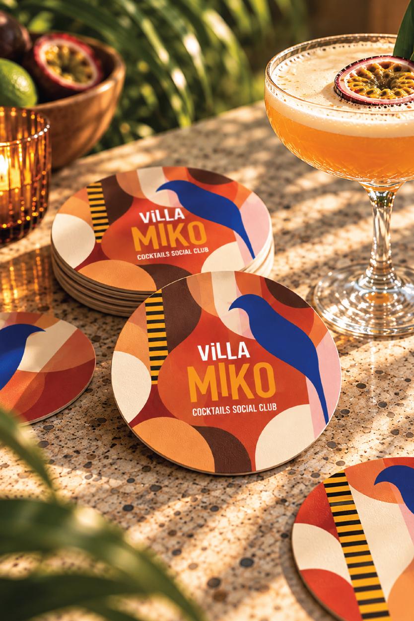 VILLA MIKO